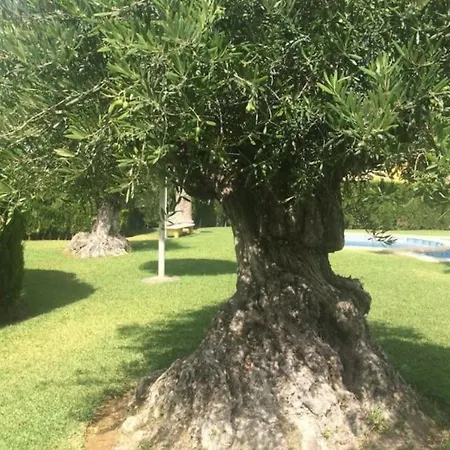 Denia,piscina,padel,150 M De La Playa Apartment *