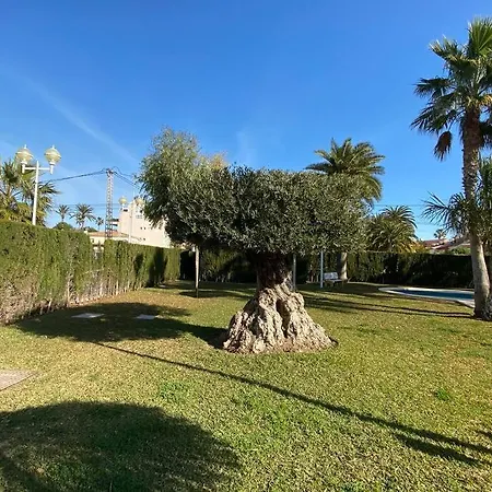 Denia,piscina,padel,150 M De La Playa Apartment *