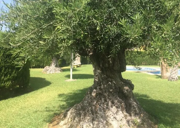 Denia,piscina,padel,150 M De La Playa アパート *