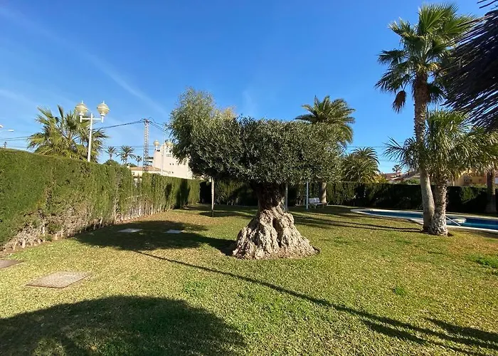 Denia,piscina,padel,150 M De La Playa 公寓 *